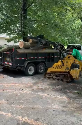 Professional Tree Services